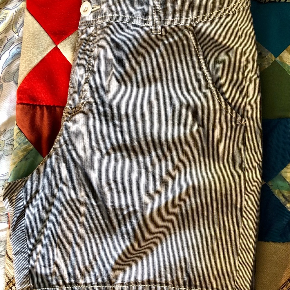 Blue Pin Stripe Shorts
